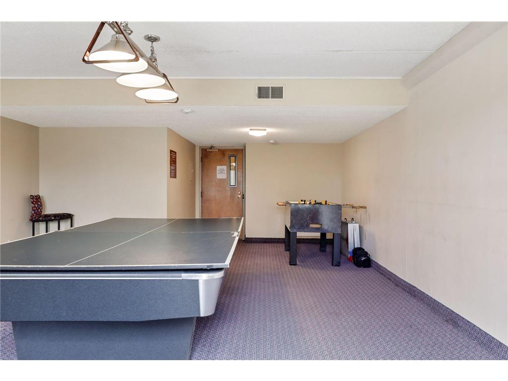 1920 S 1st Street #1406 Minneapolis MN 55454 6405802 image31