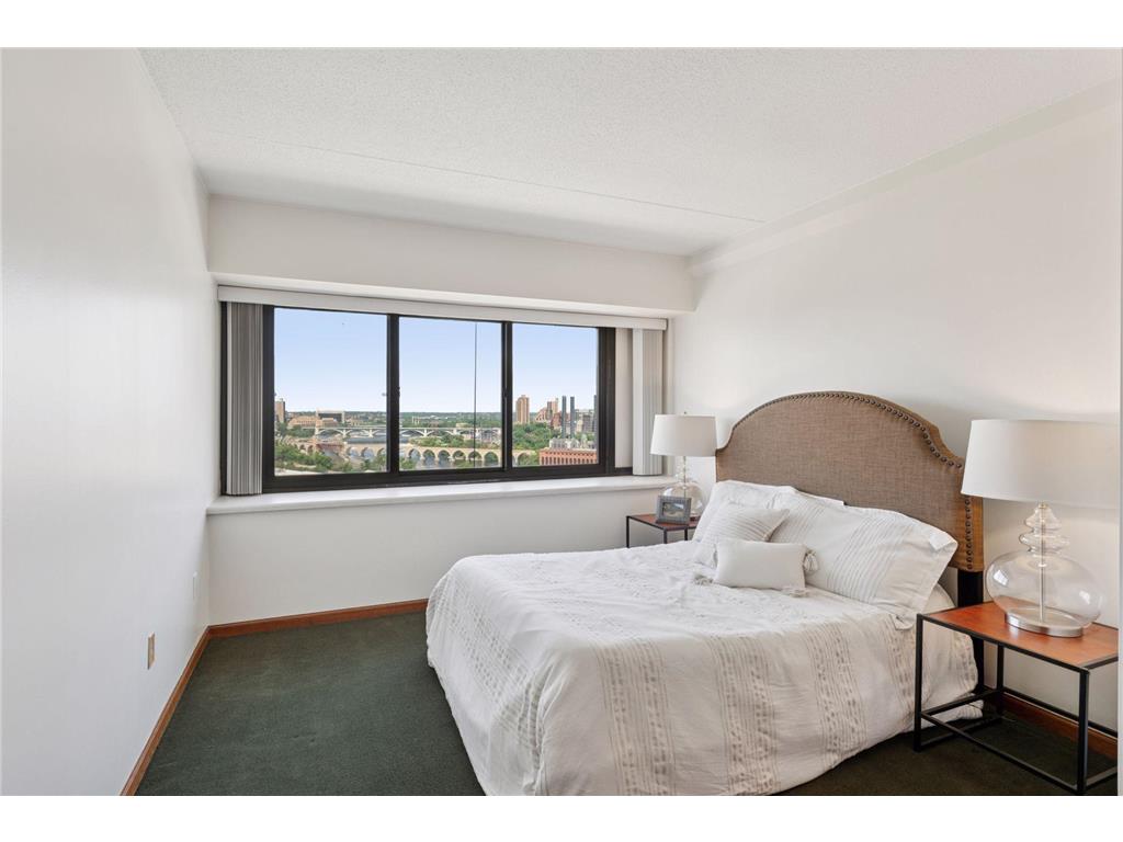 1920 S 1st Street #1502 Minneapolis MN 55454 6689166 image20