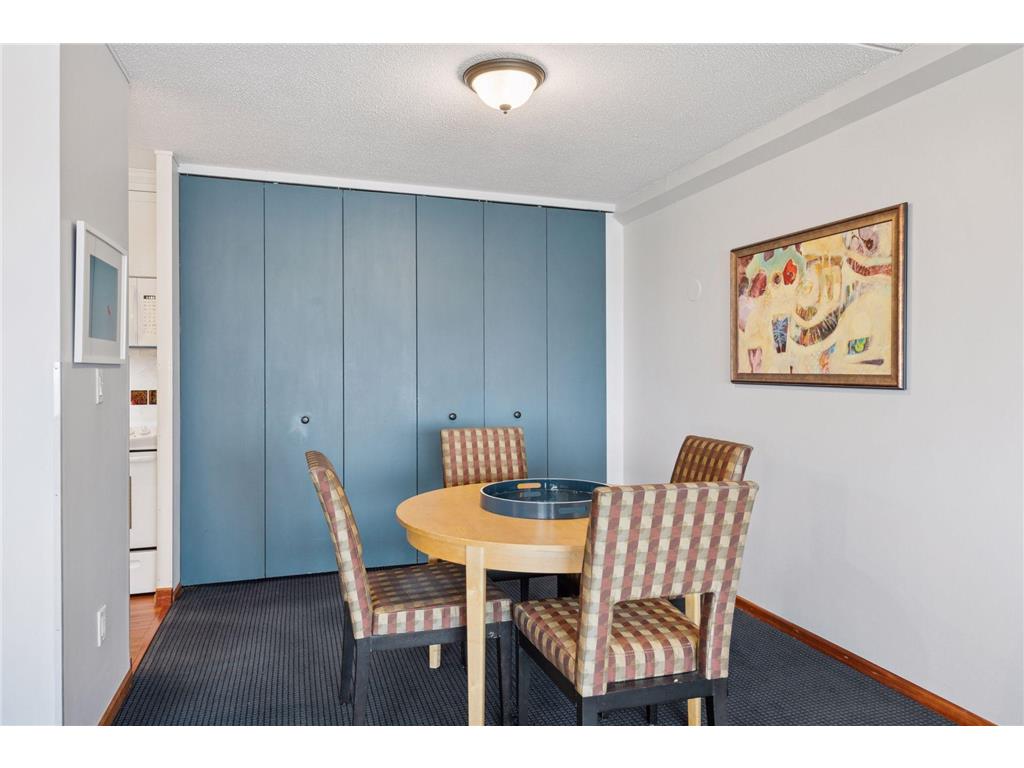 1920 S 1st Street #1502 Minneapolis MN 55454 6689166 image7