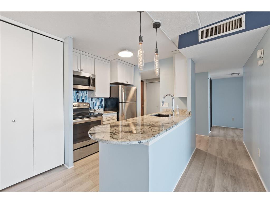 1920 S 1st Street #1503 Minneapolis MN 55454 6680170 image17