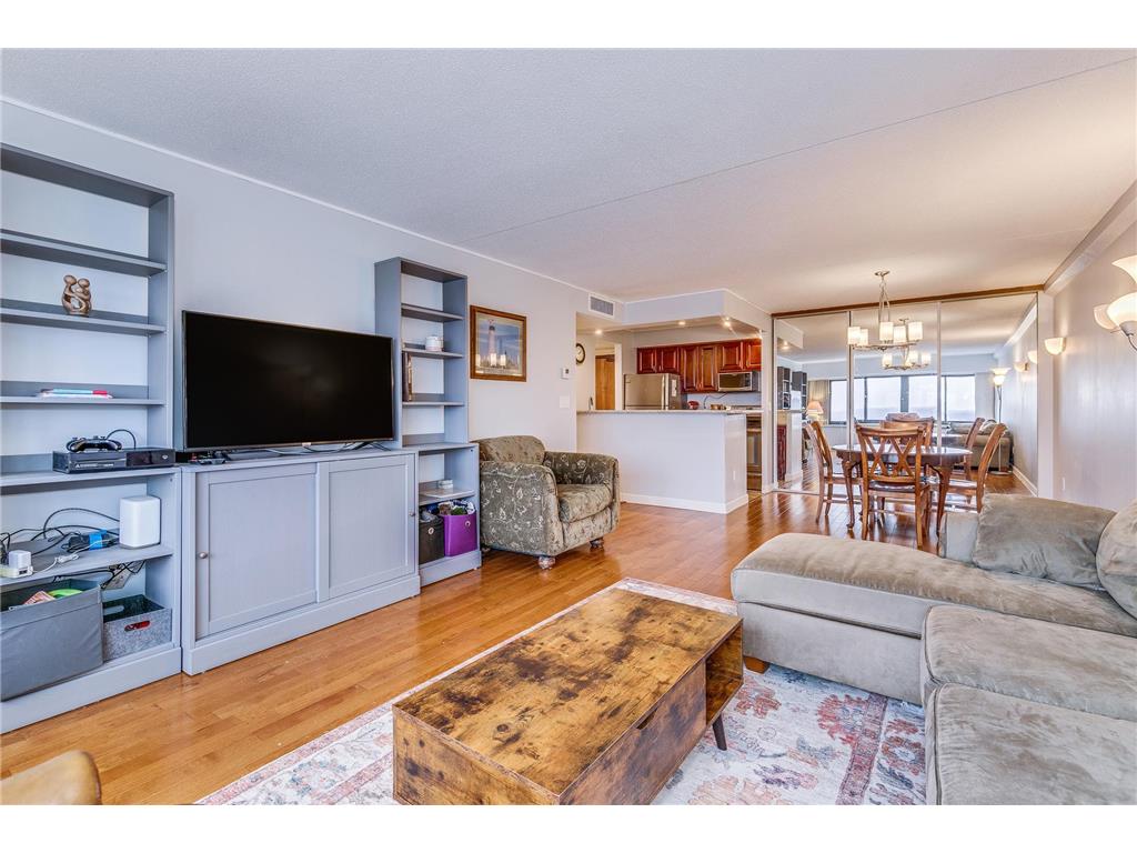 1920 S 1st Street #1706 Minneapolis MN 55454 - Mississippi 6792103 image1