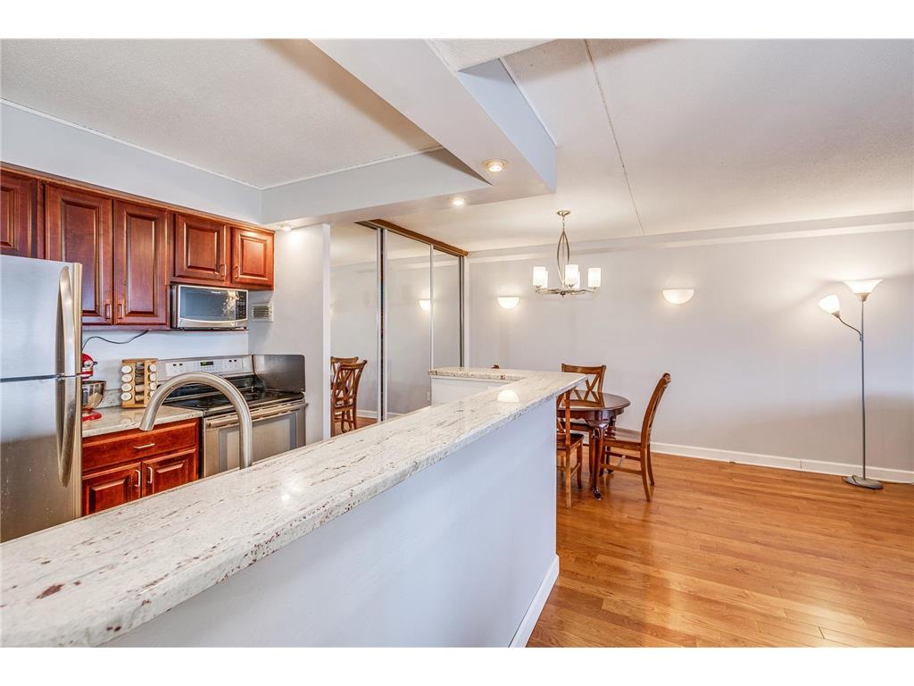 1920 S 1st Street #1706 Minneapolis MN 55454 - Mississippi 6792103 image10