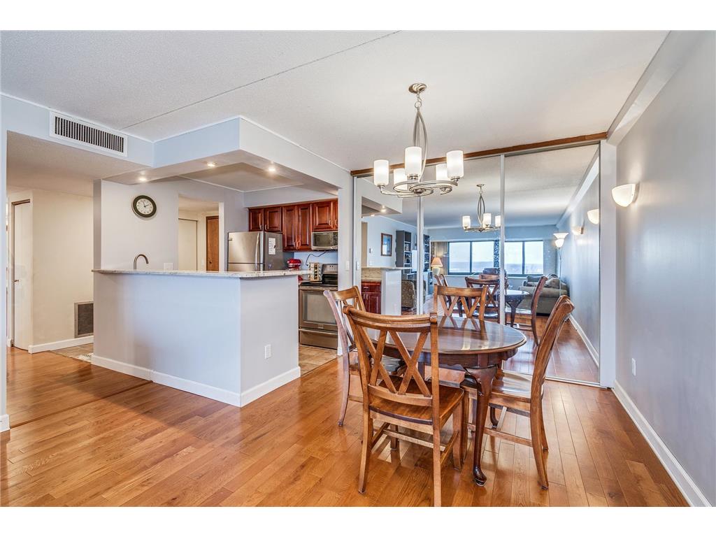 1920 S 1st Street #1706 Minneapolis MN 55454 - Mississippi 6792103 image11