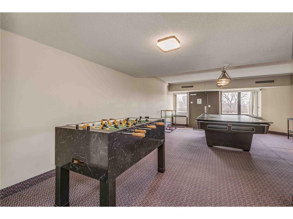 1920 S 1st Street #1706 Minneapolis MN 55454 - Mississippi 6792103 image28