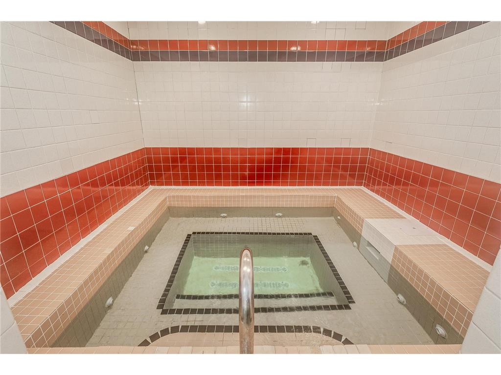 1920 S 1st Street #1706 Minneapolis MN 55454 - Mississippi 6792103 image30