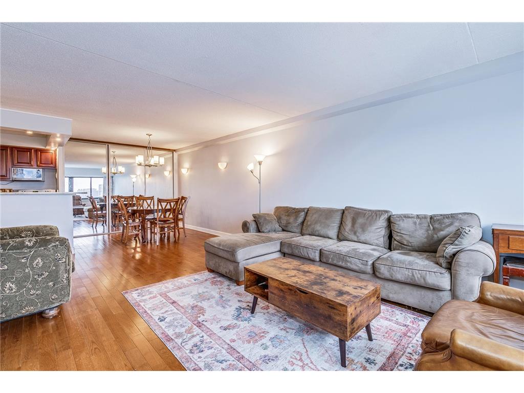 1920 S 1st Street #1706 Minneapolis MN 55454 - Mississippi 6792103 image5