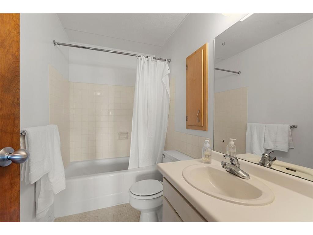 1920 S 1st Street #1903 Minneapolis MN 55454 - Mississippi 7105699 image11
