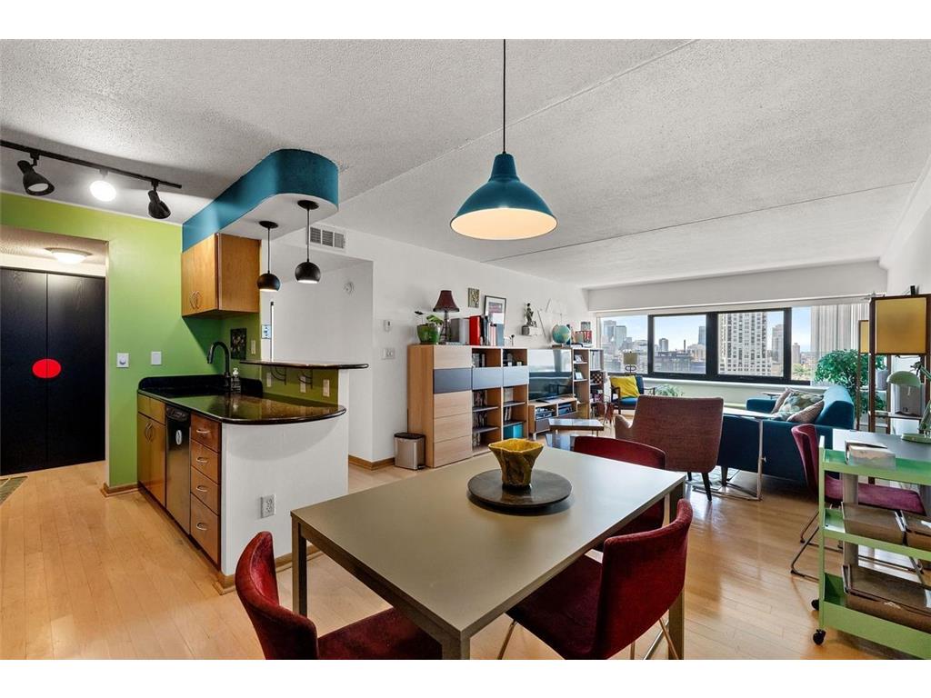 1920 S 1st Street #1903 Minneapolis MN 55454 - Mississippi 7105699 image2