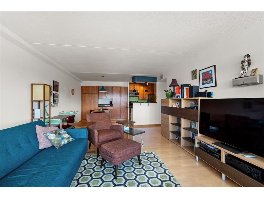 1920 S 1st Street #1903 Minneapolis MN 55454 - Mississippi 7105699 image3