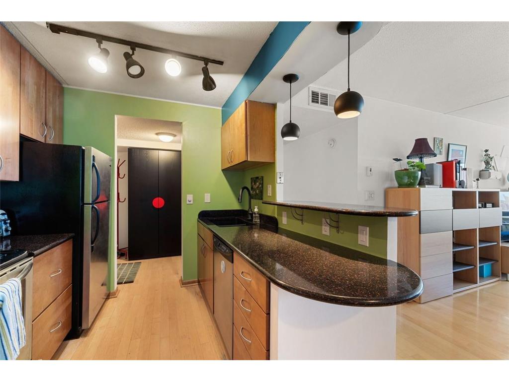 1920 S 1st Street #1903 Minneapolis MN 55454 - Mississippi 7105699 image5
