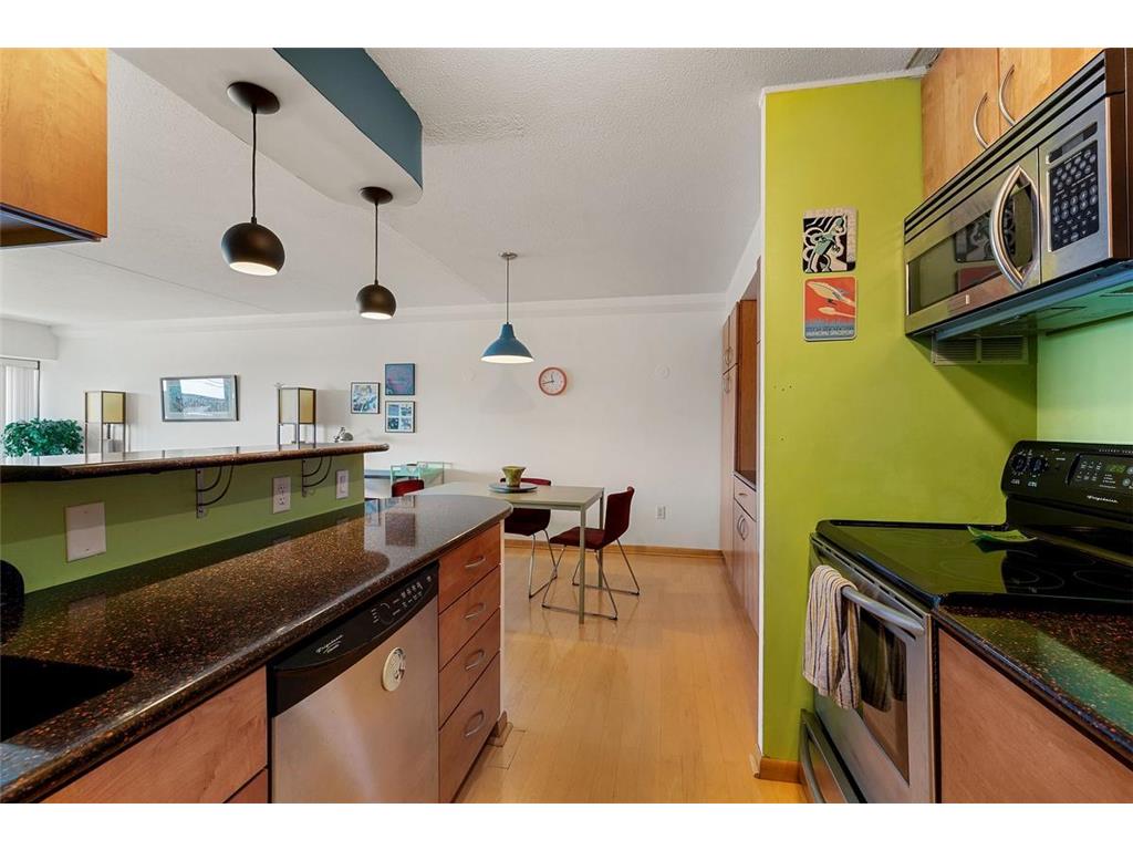 1920 S 1st Street #1903 Minneapolis MN 55454 - Mississippi 7105699 image6