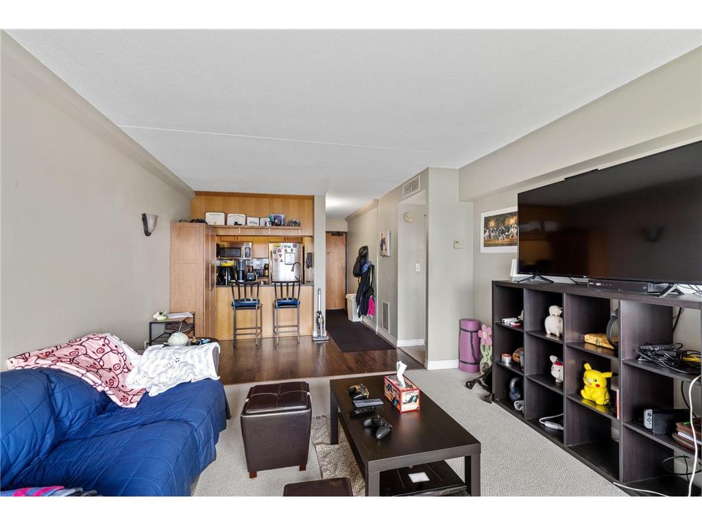 1920 S 1st Street #1907 Minneapolis MN 55454 6777368 image8