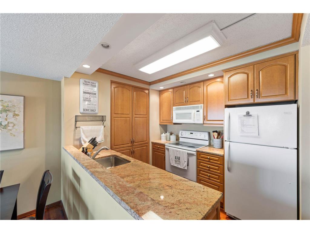 1920 S 1st Street #2101 Minneapolis MN 55454 7103647 image2