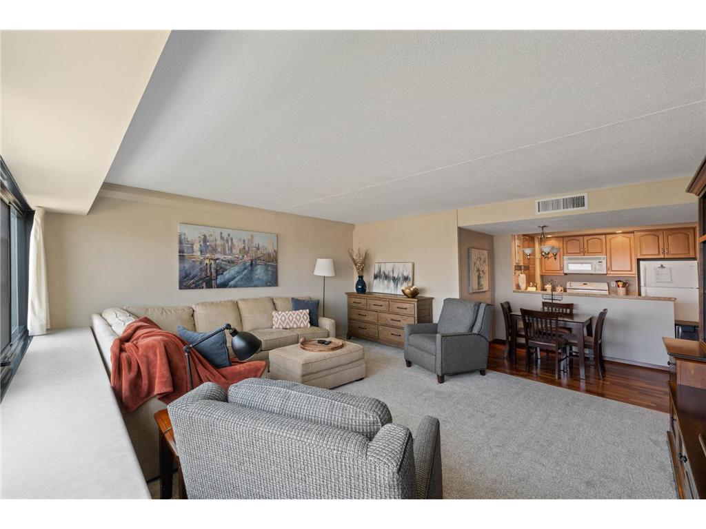 1920 S 1st Street #2101 Minneapolis MN 55454 7103647 image6