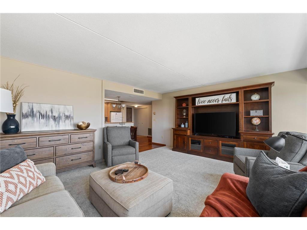 1920 S 1st Street #2101 Minneapolis MN 55454 7103647 image7