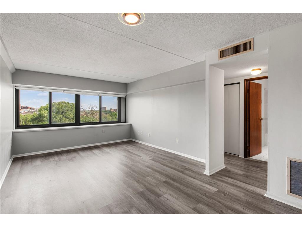 1920 S 1st Street #408 Minneapolis MN 55454 6743317 image1