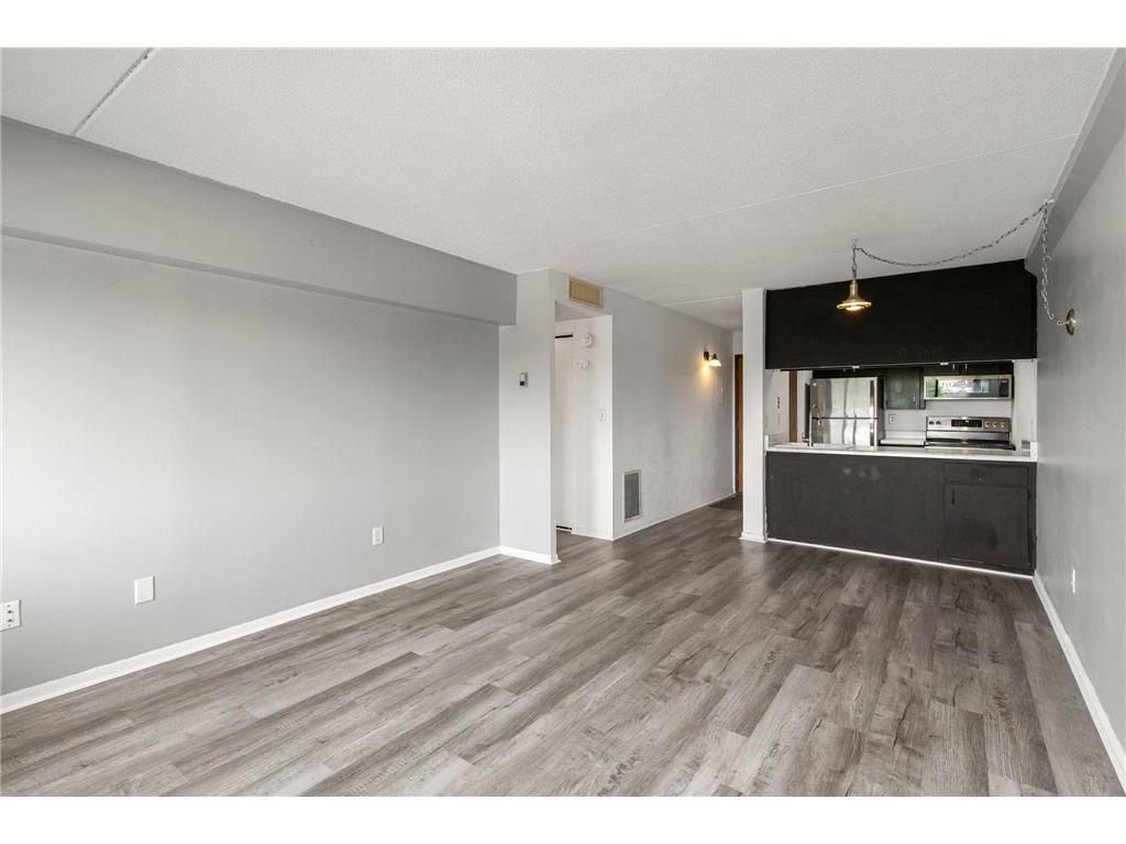 1920 S 1st Street #408 Minneapolis MN 55454 6743317 image3