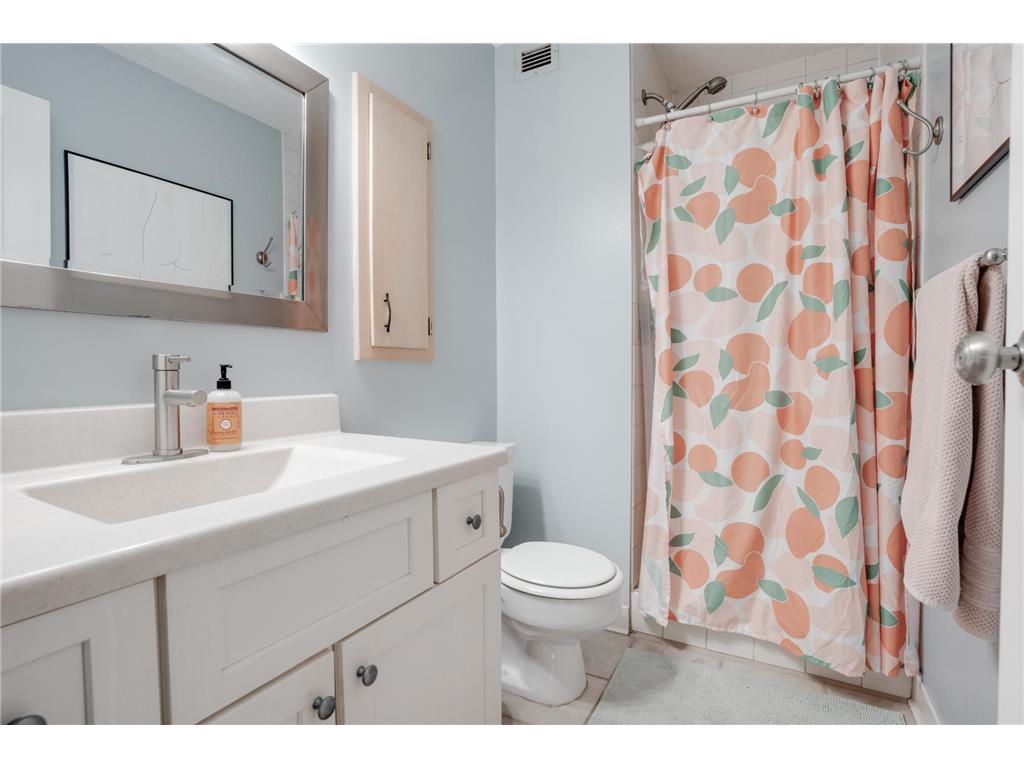 1920 S 1st Street #409 Minneapolis MN 55454 6473314 image13