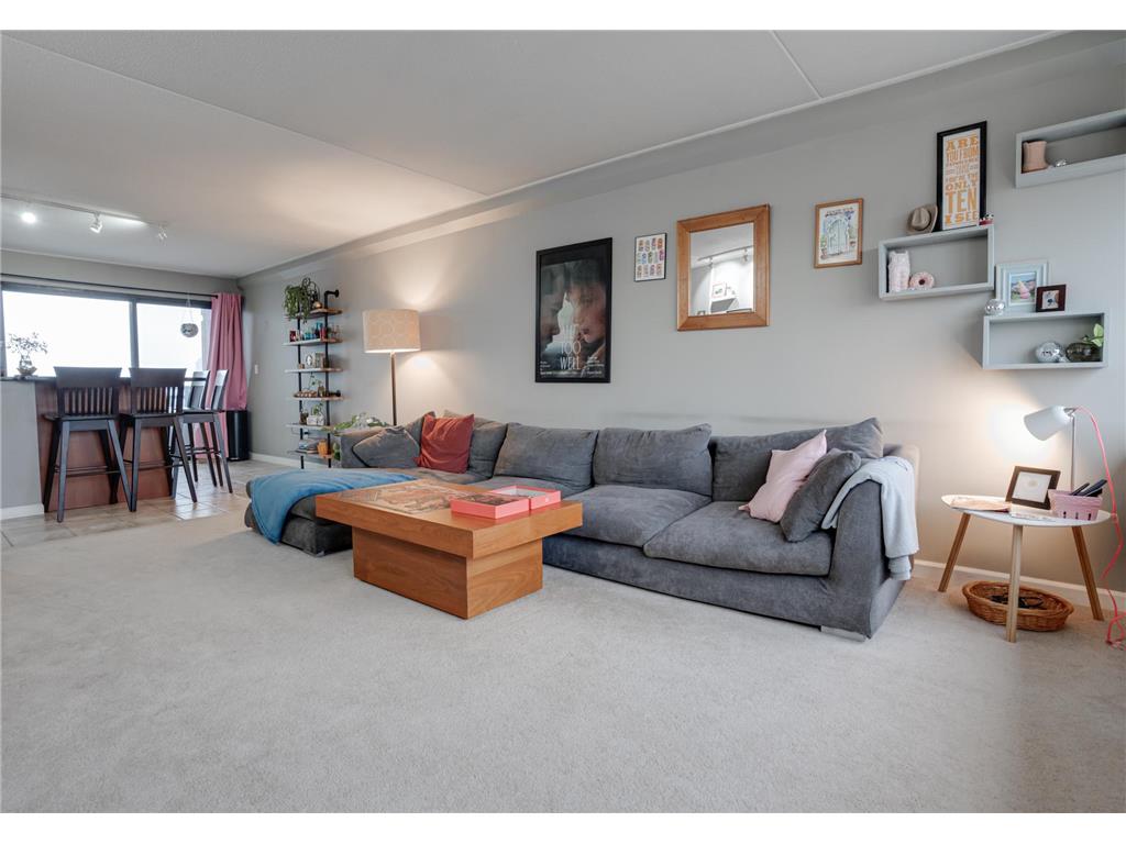 1920 S 1st Street #409 Minneapolis MN 55454 6473314 image8