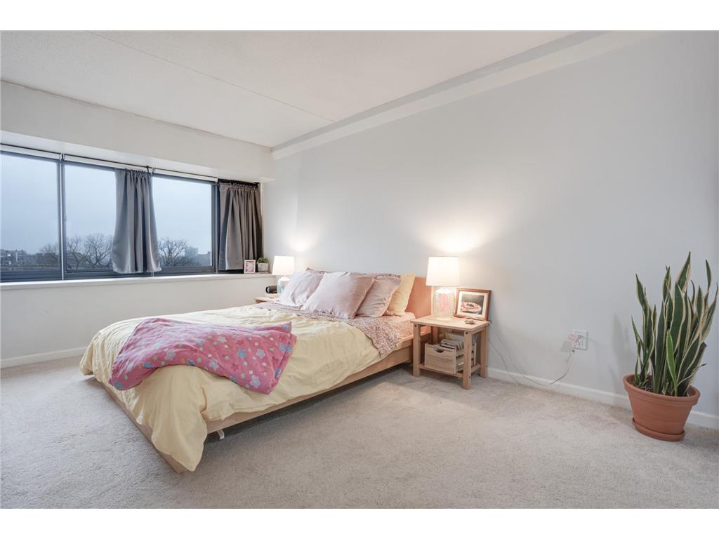 1920 S 1st Street #409 Minneapolis MN 55454 6473314 image9