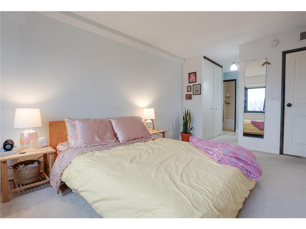 1920 S 1st Street #409 Minneapolis MN 55454 - Mississippi 7019955 image11