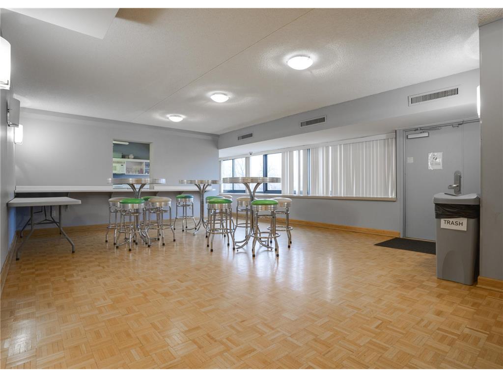 1920 S 1st Street #409 Minneapolis MN 55454 - Mississippi 7019955 image19