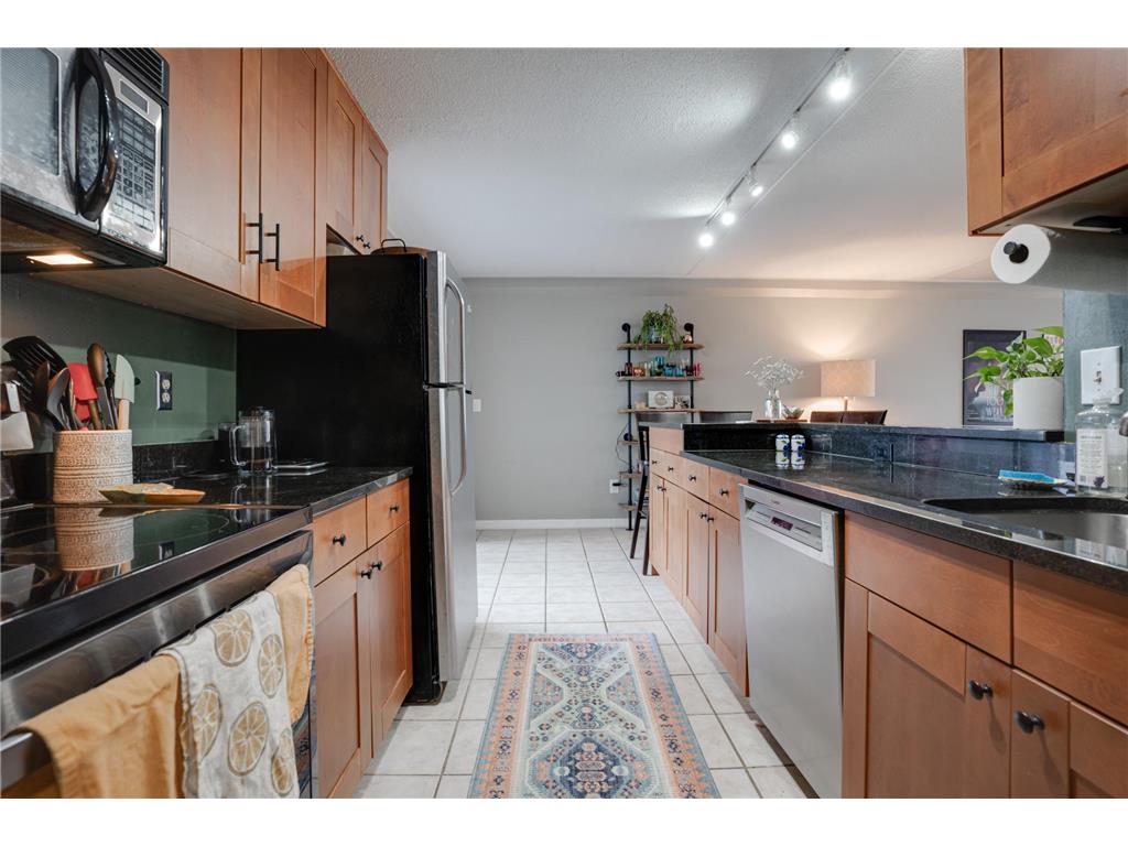 1920 S 1st Street #409 Minneapolis MN 55454 - Mississippi 7019955 image3