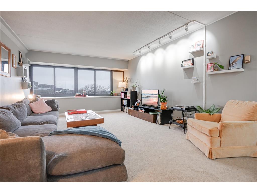 1920 S 1st Street #409 Minneapolis MN 55454 - Mississippi 7019955 image8