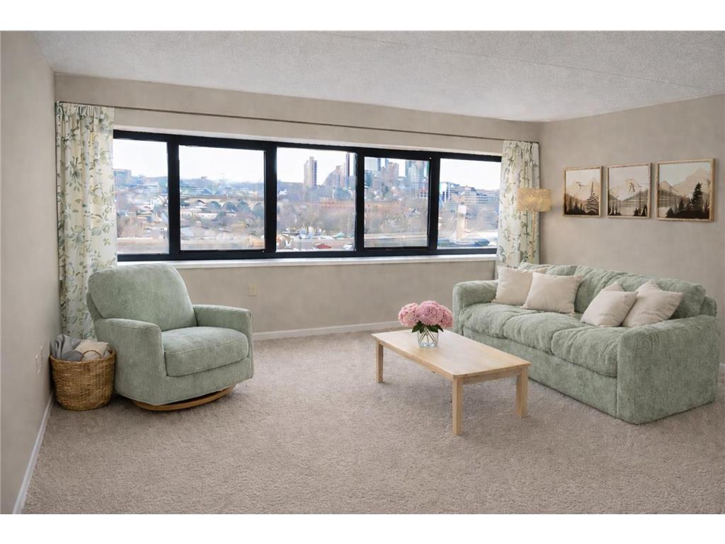 1920 S 1st Street #501 Minneapolis MN 55454 7013480 image1