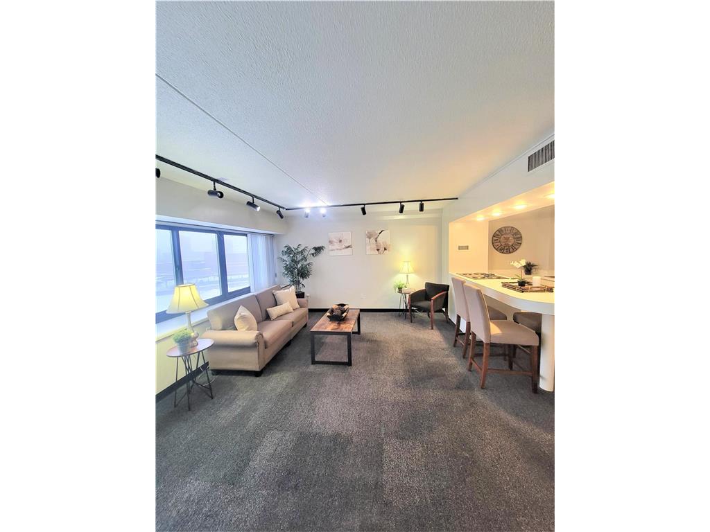 1920 S 1st Street #605 Minneapolis MN 55454 - Mississippi 6341975 image1