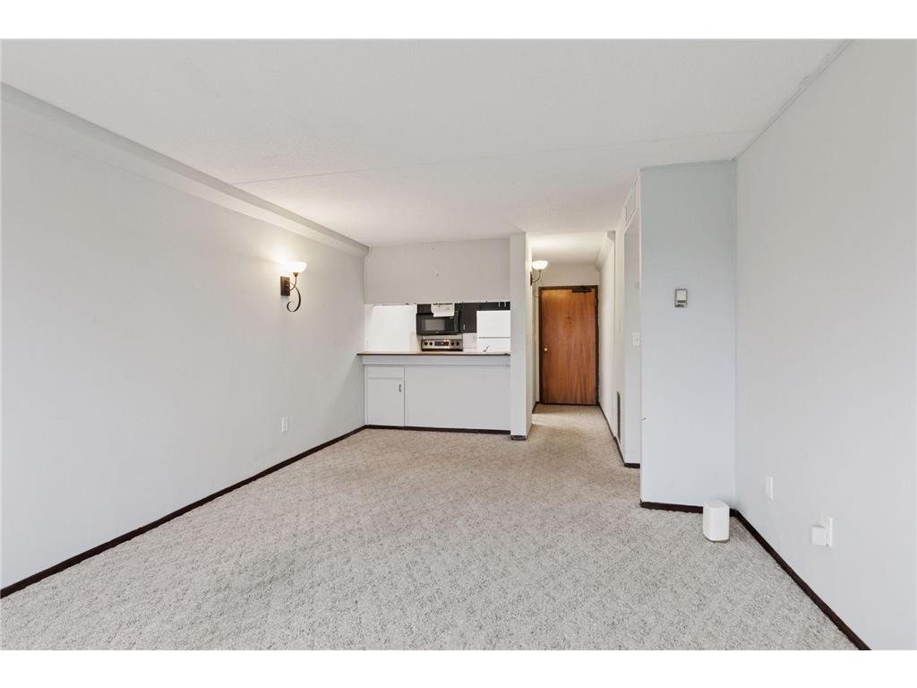 1920 S 1st Street #707 Minneapolis MN 55454 7006098 image12