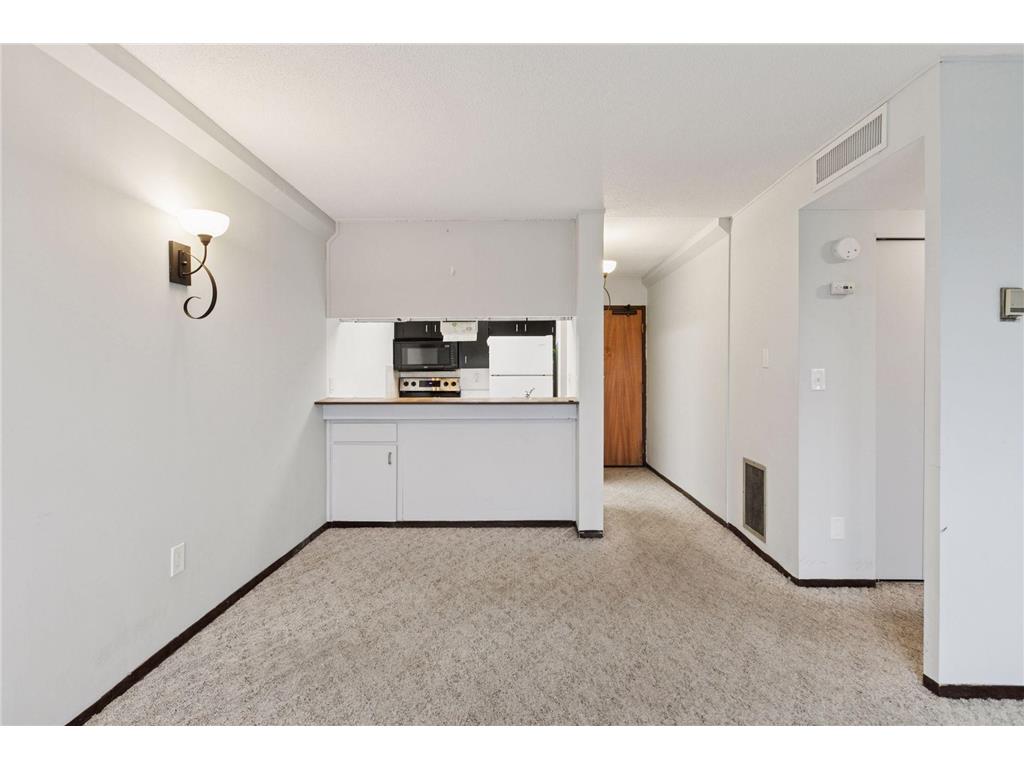 1920 S 1st Street #707 Minneapolis MN 55454 7006098 image13