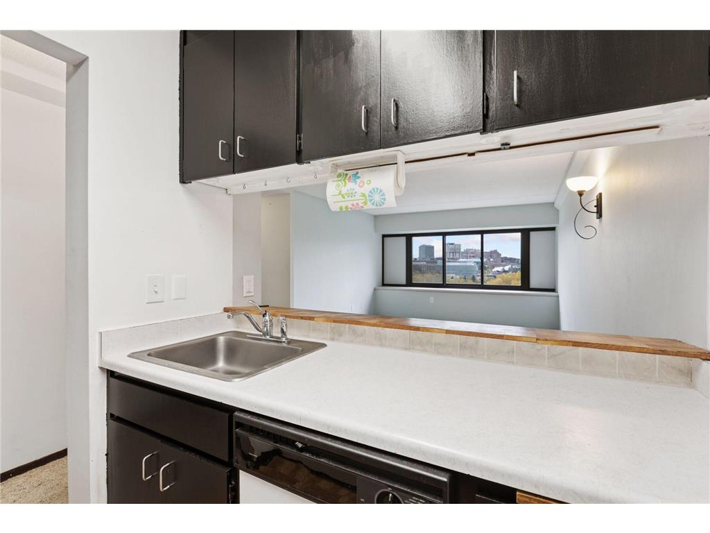 1920 S 1st Street #707 Minneapolis MN 55454 7006098 image15