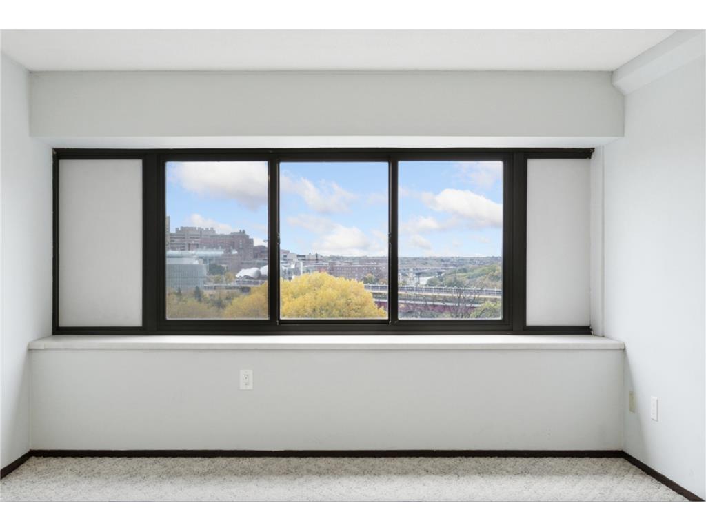 1920 S 1st Street #707 Minneapolis MN 55454 7006098 image2