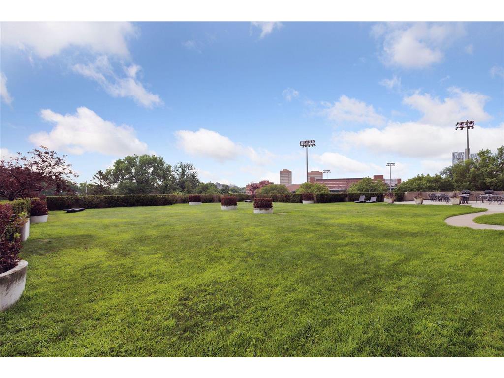 1920 S 1st Street #707 Minneapolis MN 55454 7006098 image34