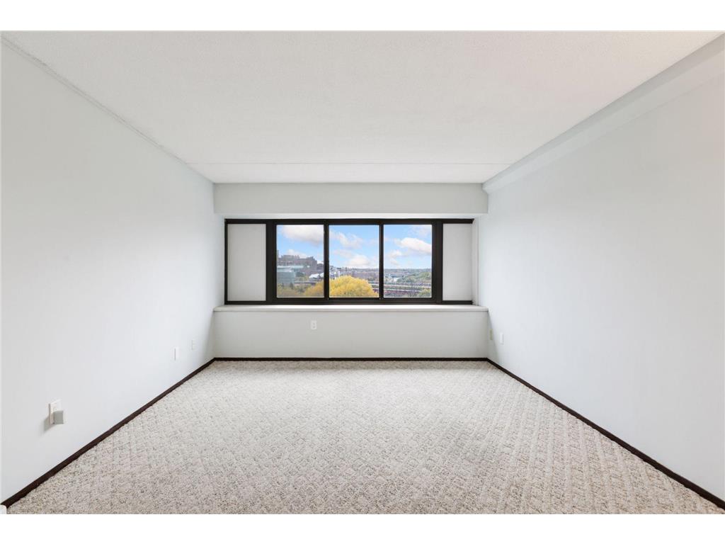 1920 S 1st Street #707 Minneapolis MN 55454 7006098 image7