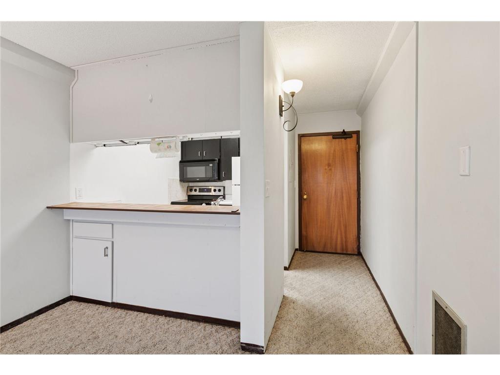 1920 S 1st Street #707 Minneapolis MN 55454 7006098 image9