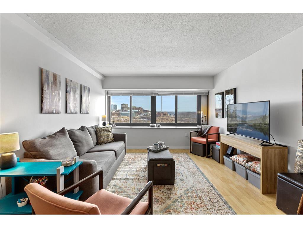 1920 S 1st Street #708 Minneapolis MN 55454 6346062 image1