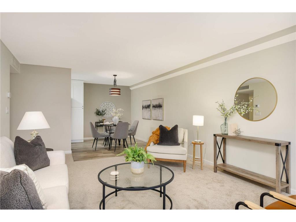 1920 S 1st Street #D114 Minneapolis MN 55454 - Mississippi 6724412 image4