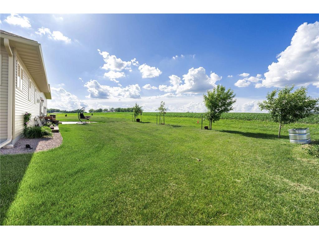 1920 Wolf Berry Place NE Owatonna MN 55060 7088012 image10