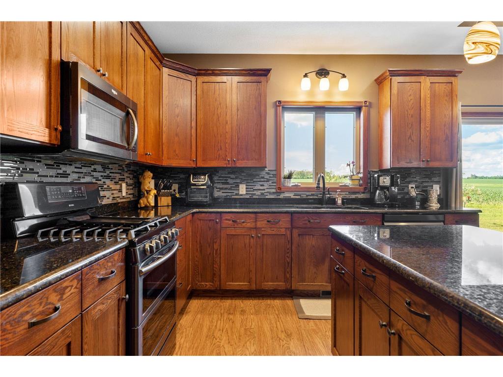 1920 Wolf Berry Place NE Owatonna MN 55060 7088012 image22