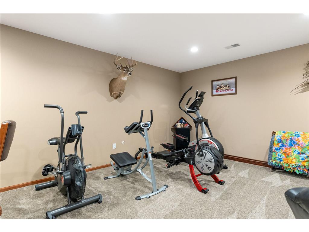 1920 Wolf Berry Place NE Owatonna MN 55060 7088012 image44