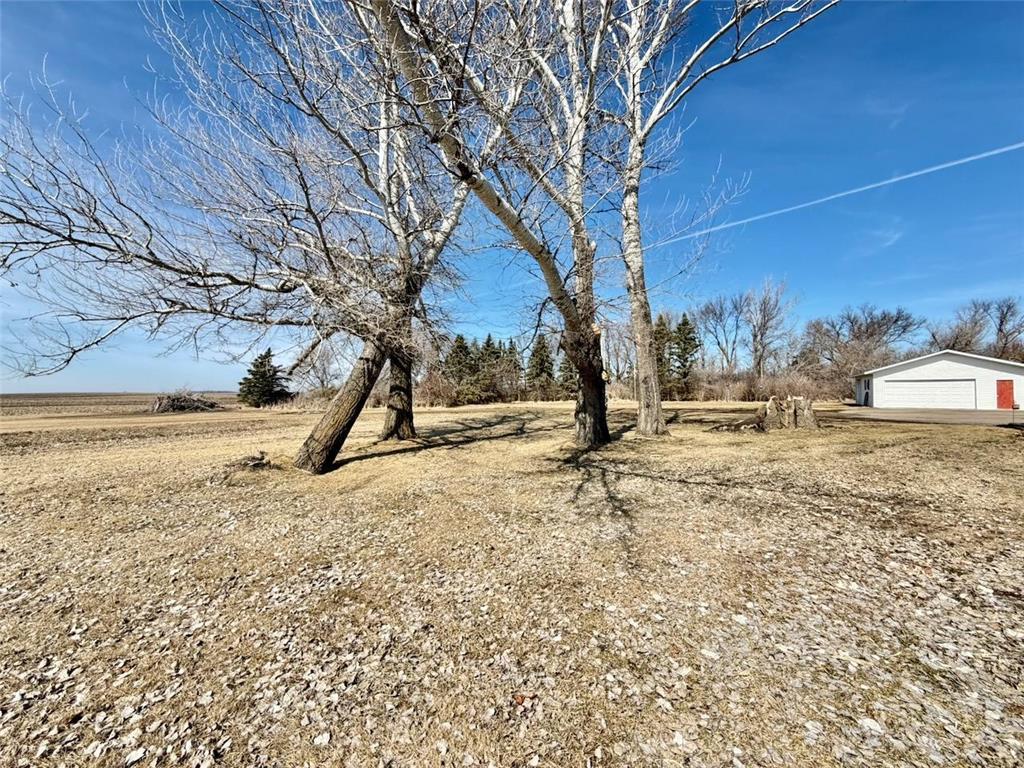 19214 County Road 4 Elbow Lake MN 56531 7041975 image58
