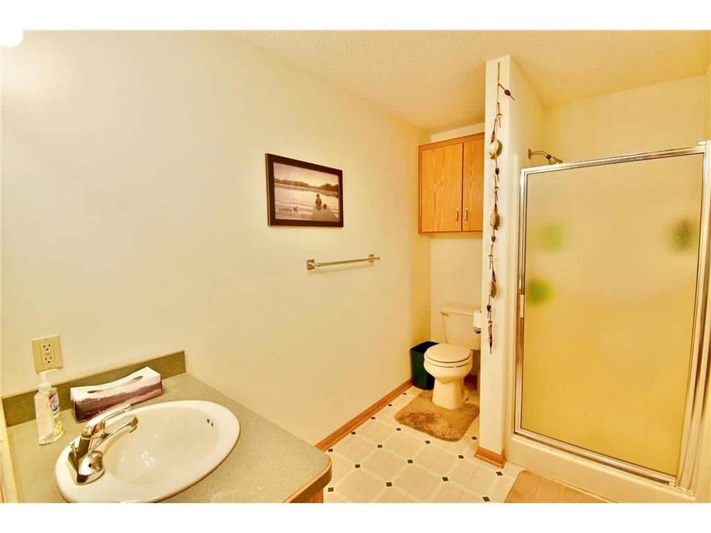 19221 30th Street SW Roseland Twp MN 56216 6798779 image19