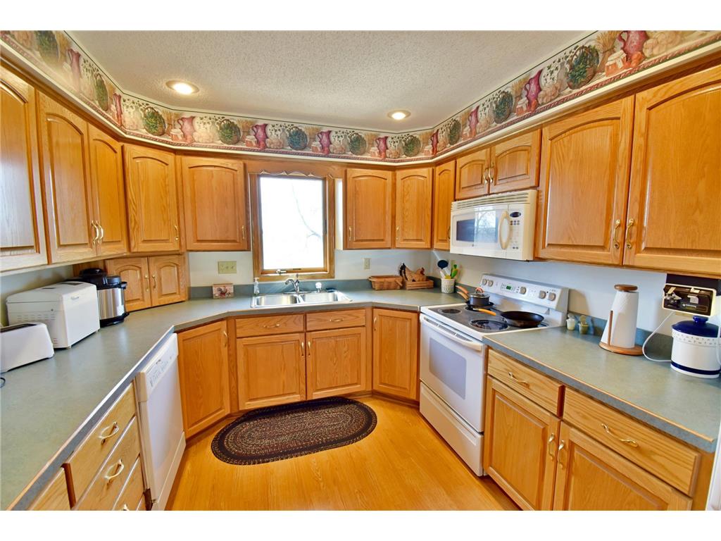 19221 30th Street SW Roseland Twp MN 56216 6798779 image7