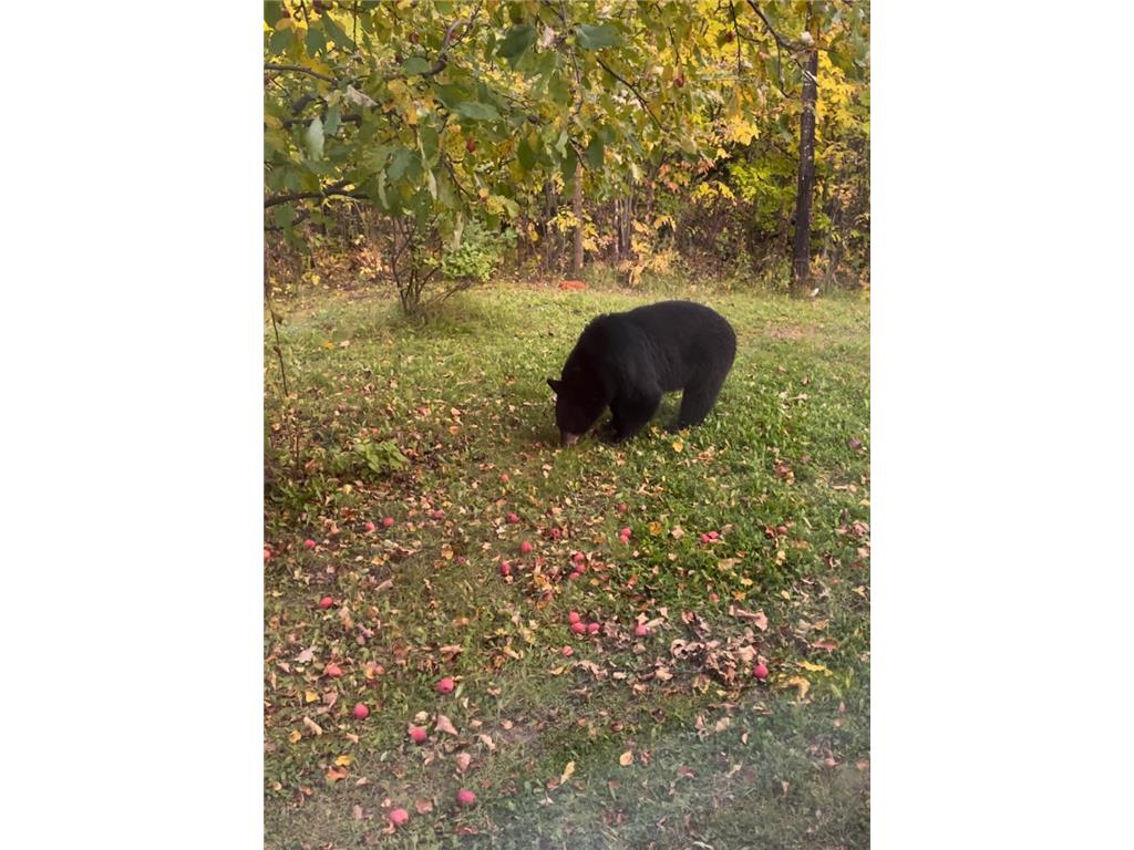 1923 State Highway 11 SE Gudrid Twp MN 56623 7092711 image19