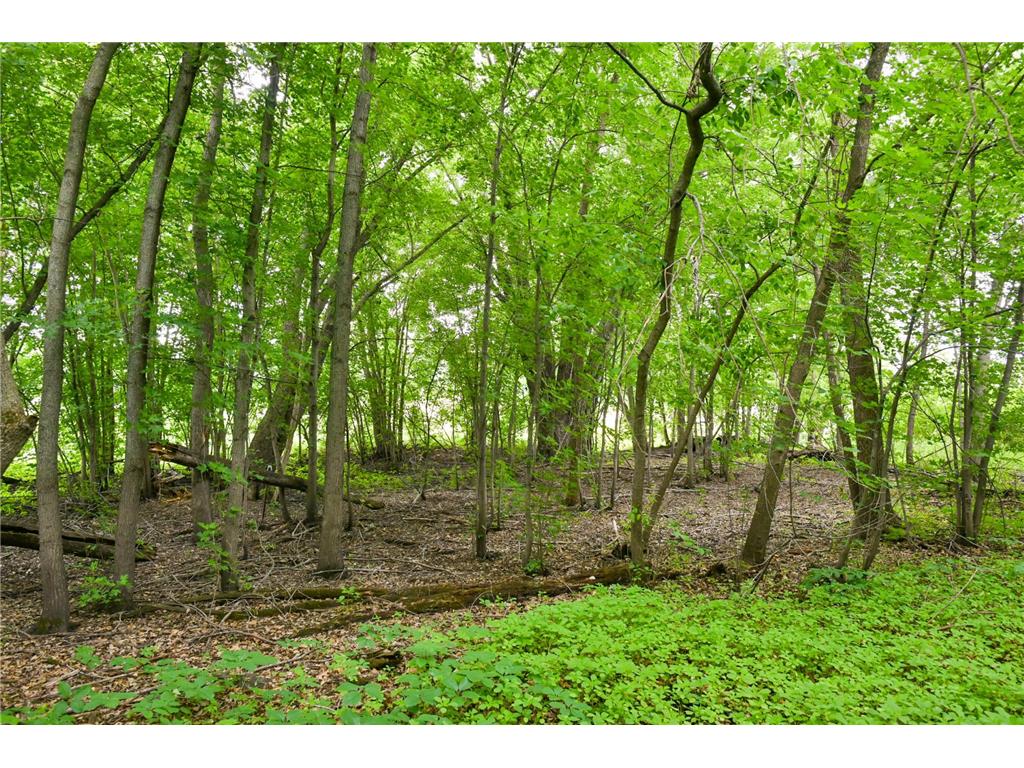 19231 Highwood Shores Road Pokegama Twp MN 55063 - Pokegema 7105191 image3
