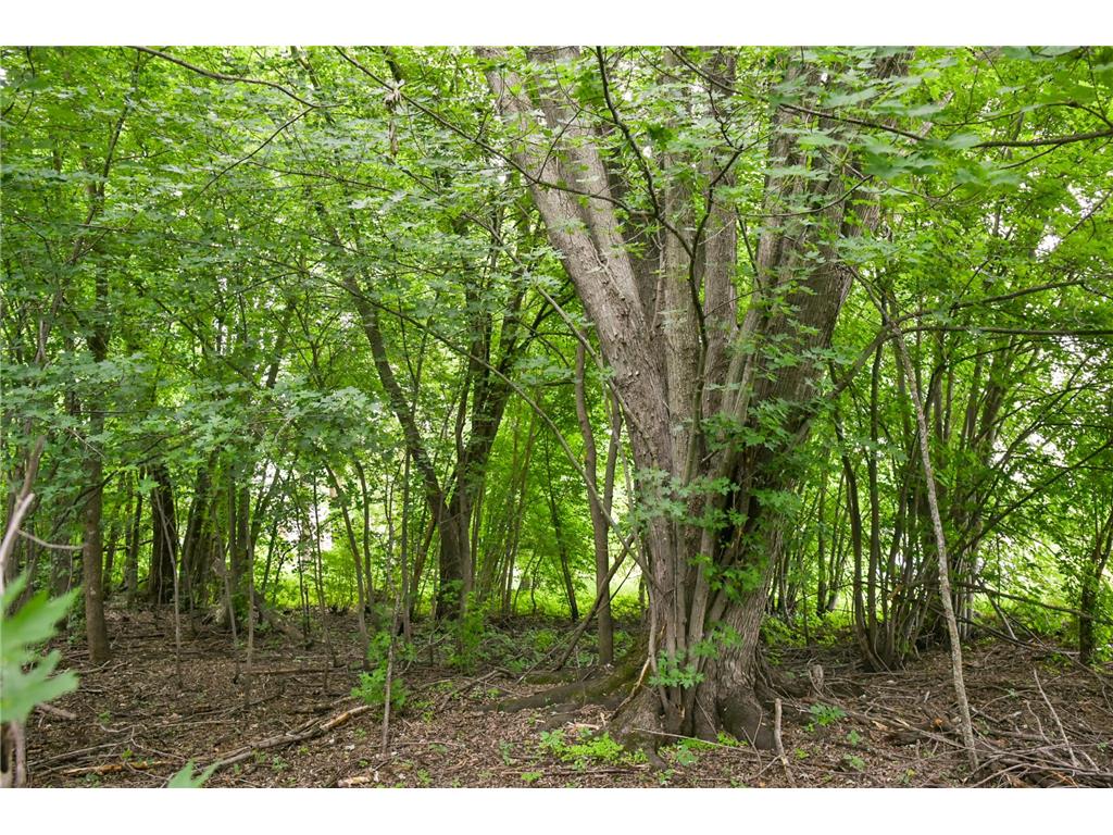 19231 Highwood Shores Road Pokegama Twp MN 55063 - Pokegema 7105191 image4