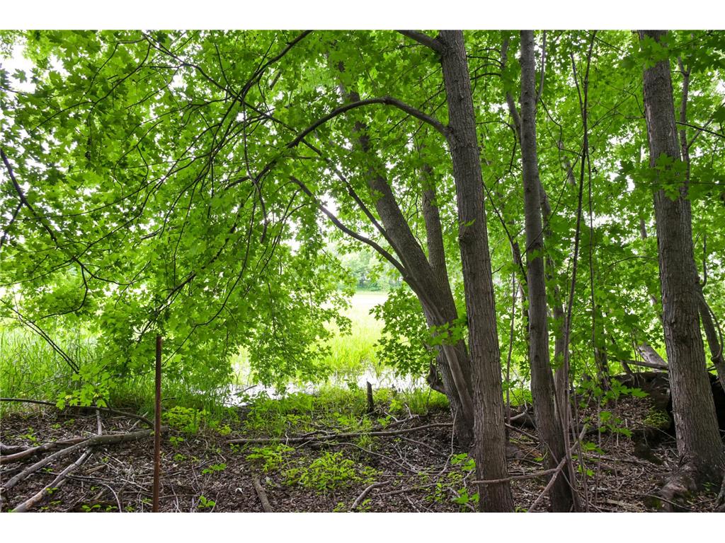 19231 Highwood Shores Road Pokegama Twp MN 55063 - Pokegema 7105191 image5