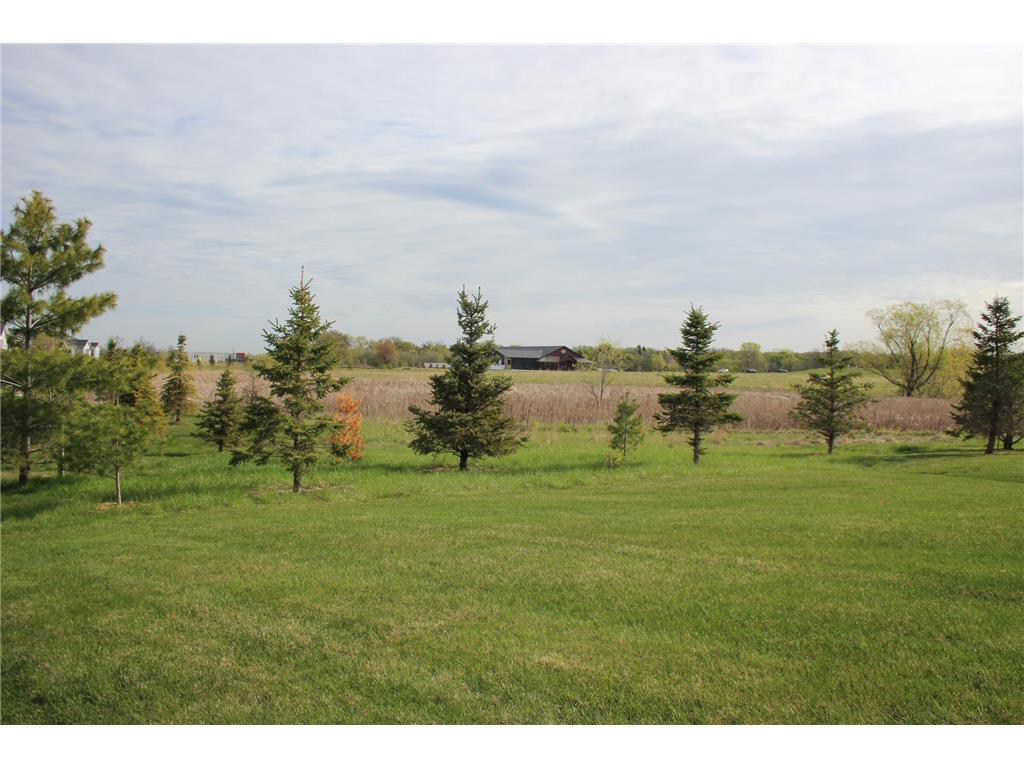 19236 101st Place Corcoran MN 55374 7081829 image4